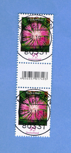 Flockenblume paar mit - z-paar,