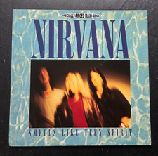 Nirvana Smells Like Teen
