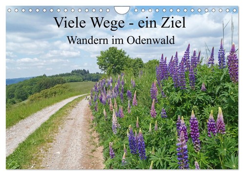 Viele wege ein ziel wandern - wege,