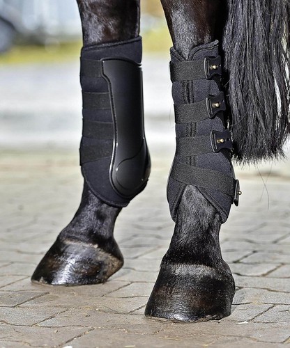 Gamaschen dressage pro - gamaschen, dressage-