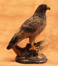 Steinadler, Adler hockt auf