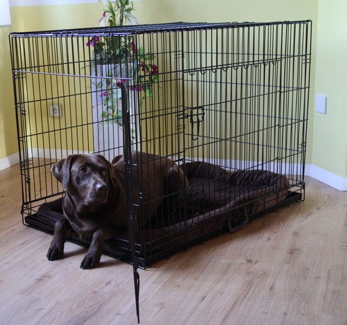 Ware mypets treme safe - mypets®,
