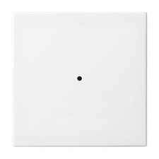 Busch-Jaeger 6731-914