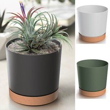 Blumentopf Blumenkübel