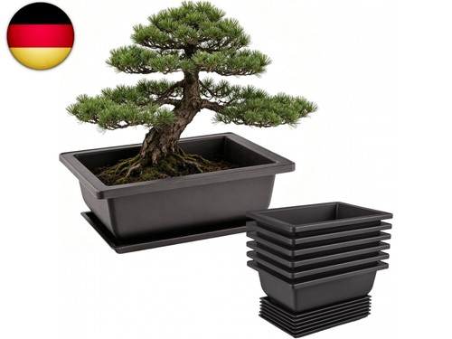 Stück bonsai schale - bonsai,