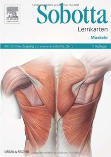 Sobotta lernkarten muskeln - lernkarten,