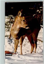 40042720 - 8972 Sonthofen