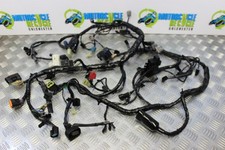 Kawasaki Versys 650 Kabelbaum