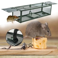 Mäusefalle Lebendfalle