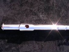 HAYNES WMS -HMRE- Vollsilber