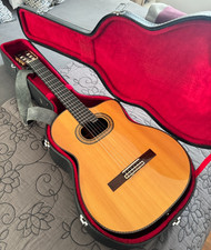 Akustik-E-Gitarr Takamine