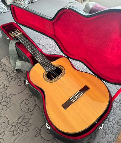 Akustik gitarr takamine - akustik-e-gitarr,