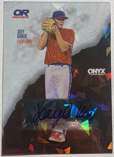 2024 onyx rips autographs - rips,
