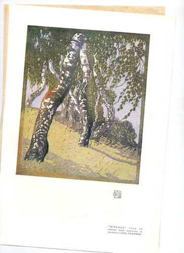 Carl theodor thiemann birken - carl,