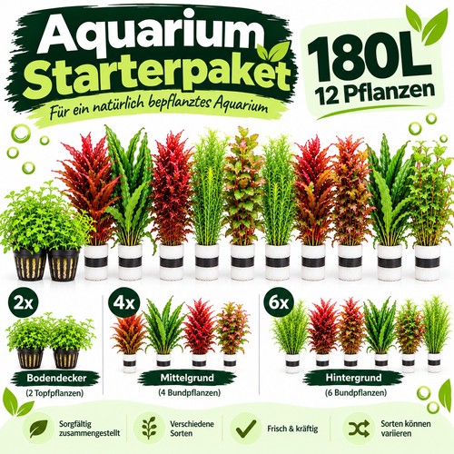 Aquariumpflanzen starter set - aquariumpflanzen,