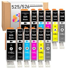 12 Druckerpatronen für Canon