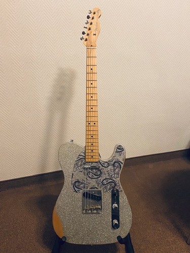 Fender telecaster brad - brad, paisley