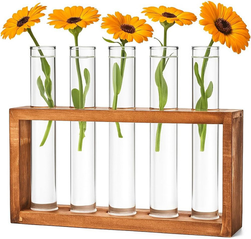Reagenzgläser blumenvase - blumenvase,