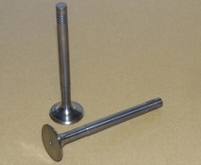 Einlassventil + Auslassventil Güldner L79 Motor G30 G35 G40 G45 G50 Ventile