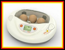 58) RCOM "Mini " Brutgerät-Brutschrank-Brutautomat-Motorbrüter-Incubateur-Brüter
