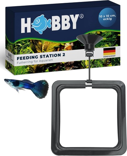 Aquaristik feeding station i - feeding,