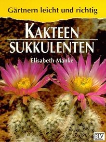 Kakteen sukkulenten von - sukkulenten,
