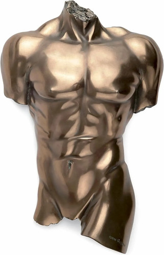 Akt männlicher torso - männlicher,