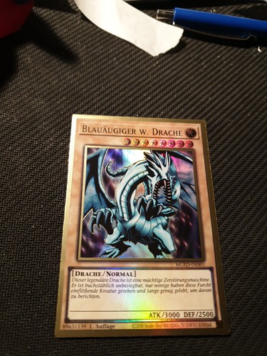 Blauäugiger weißer drache - ,