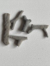 Rhombopora sp., Bryozoa