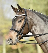 Busse kandarenzaum gloss - kandarenzaum, lack