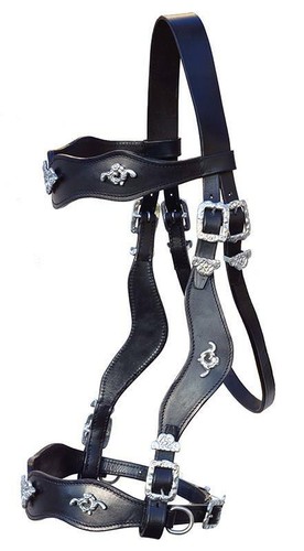 Barockzaum zügel trense - ,