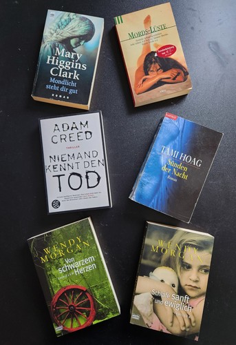 Konvolut taschenbücher - 6,