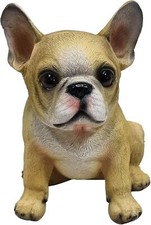 Französische bulldogge - französische,