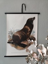 alte Rollkarte Lehrtafel