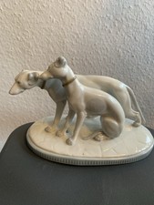 Windhund Greyhound Hund Dog