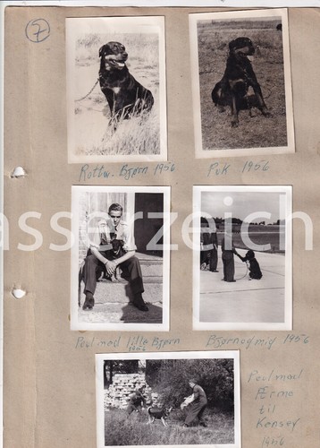Original fotos militär - fotos, 1956