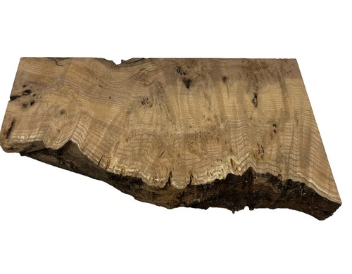 Esche maserholz mit - esche,