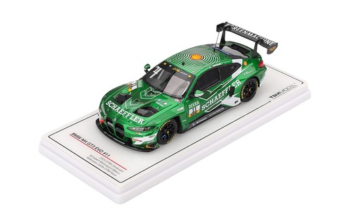 Truescale bmw gt3 evo - truescale, m4