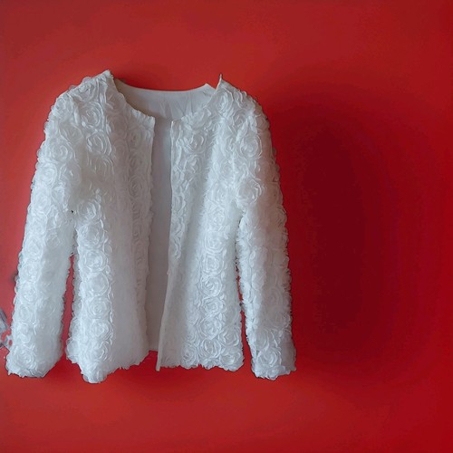 Wunderschöne brautjacke mit - wunderschöne,