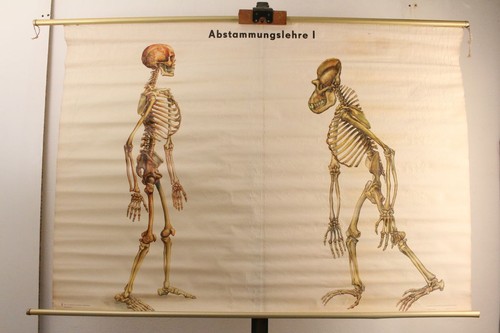 Schulwandkarte