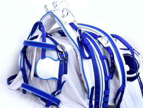 Nylon gurtband fahrgeschirr - gurtband,