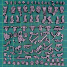 Plünderer der Roten Korsaren