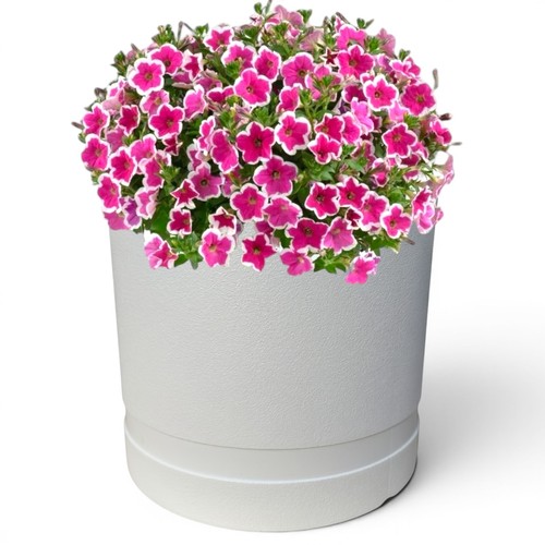 Blumenkübel rund modern bis