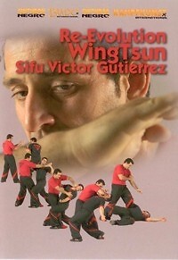 Wing tsun evolution - wing,