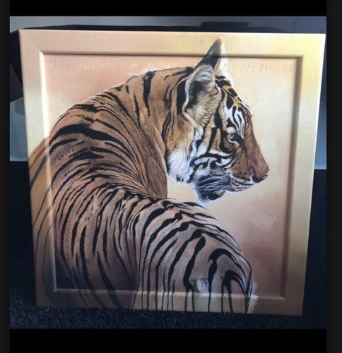Tiger bild - tiger,
