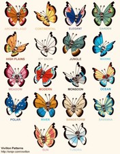 Pokemon vivillon forms - pokemon,