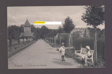 A 275/AK Rostock "Partie aus dem Tiergarten, 2 Kinder" 1911