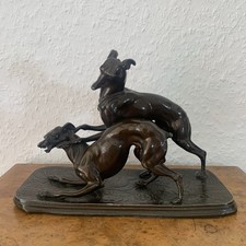 Windhund Greyhound Whippet