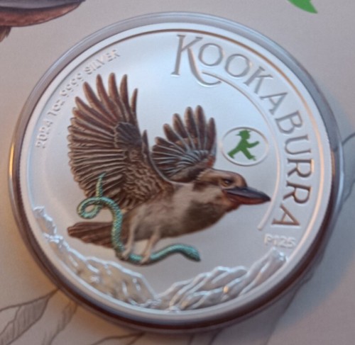 Kookaburra 2024 color - , wmf