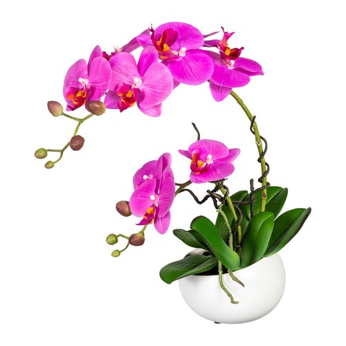 Künstliche phalaenopsis - künstliche,